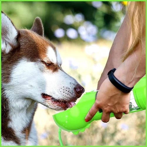 gourde-pour-chien-3-en-1-multifonction-pour-voyage-vert-husky