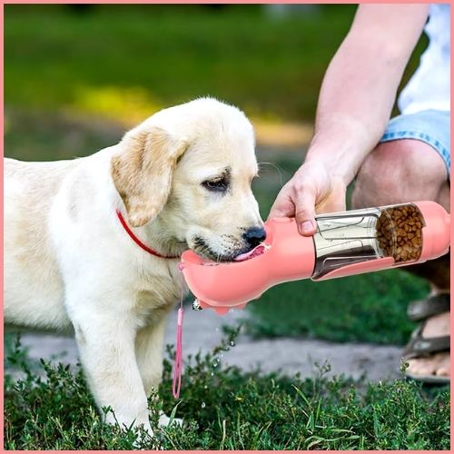 gourde-pour-chien-croquette