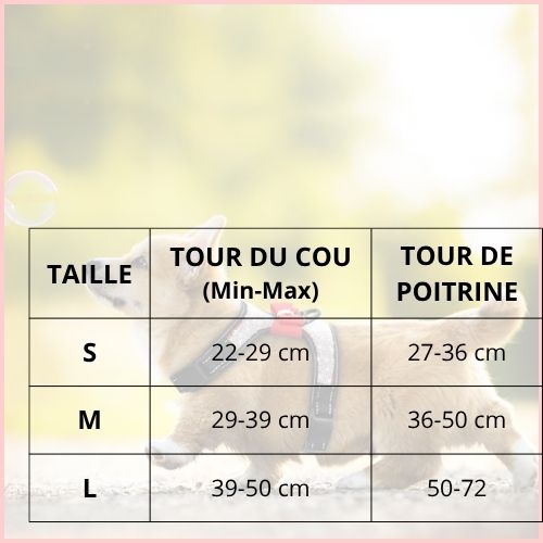 harnais-anti-traction-chien-réglable-taille