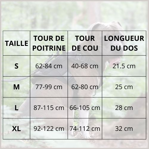 harnais-anti-traction-chien-taille