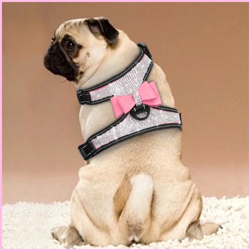 harnais-anti-traction-chien_réglable-rose