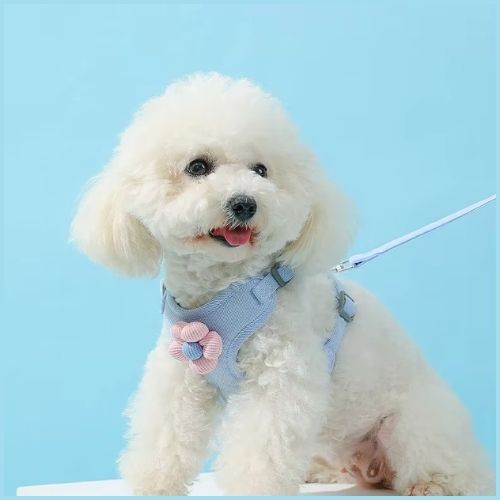 harnais-chien-anti-traction-fleur_rose