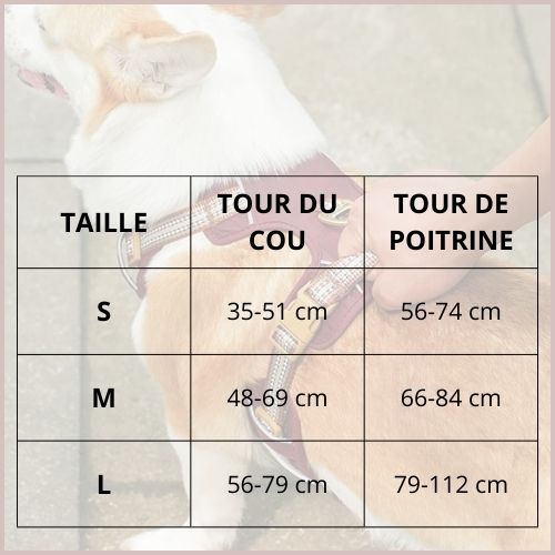 harnais-chien_tailles