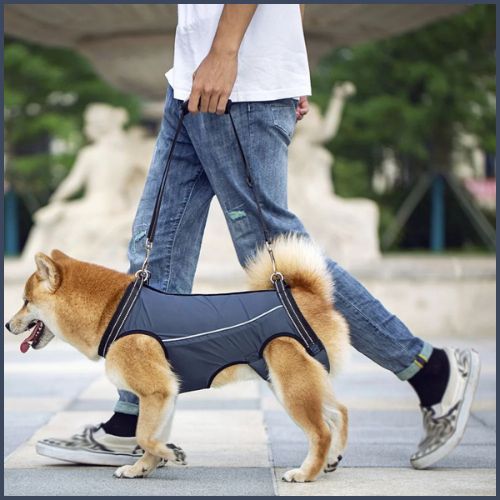 harnais-de-levage-pour-chien_marine