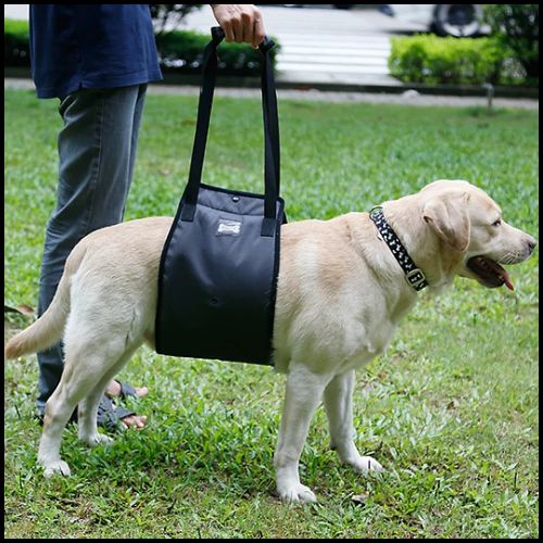 harnais-de-levage-pour-chien_noir