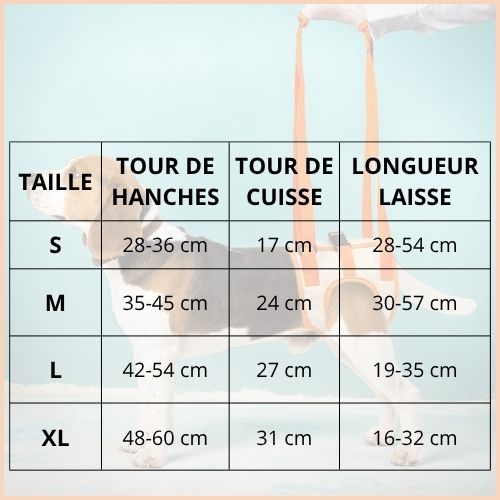 harnais-de-levage-pour-chien_paralysé-ou-handicapé-taille