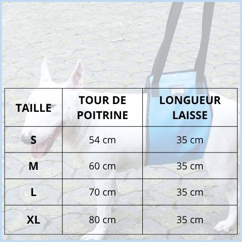 harnais-de-levage-pour_chien_Taille