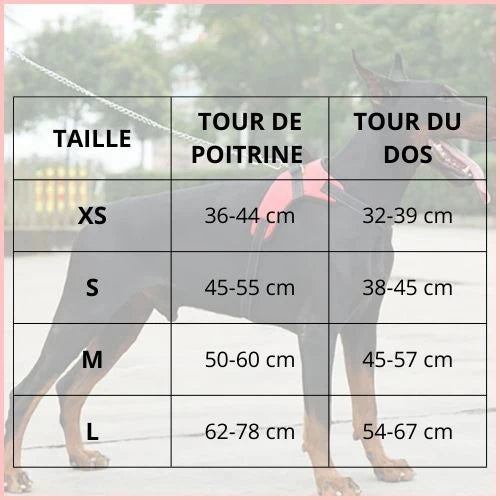 harnais-pour-chien-tailles