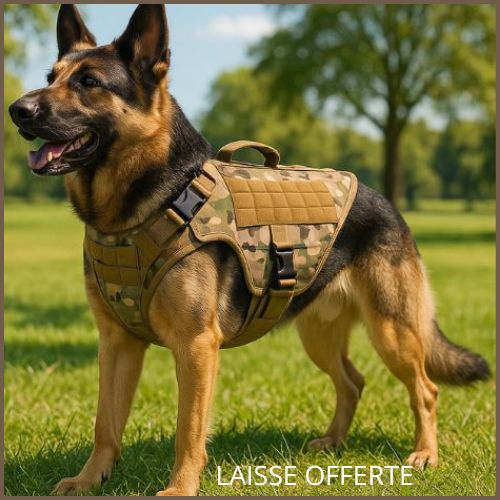 harnais_anti-traction-chien-camouflage