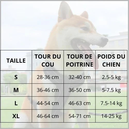harnais_chien-en-y-tailles