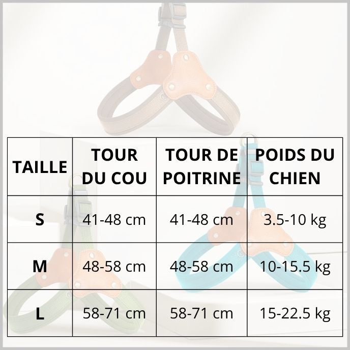 harnais_chien_tailles