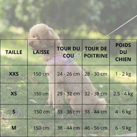 harnais_petit-chien-taille_