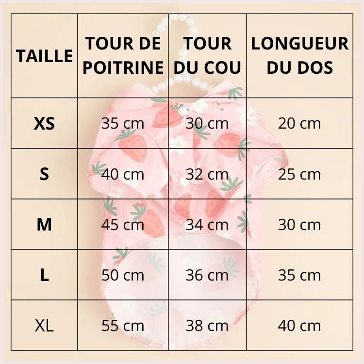 impermeable-chien_avec-capuche