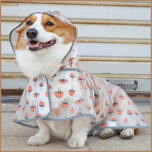 impermeable-chien_réfléchissant-capuche