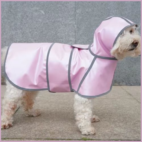impermeable-chien_réfléchissant-velcro