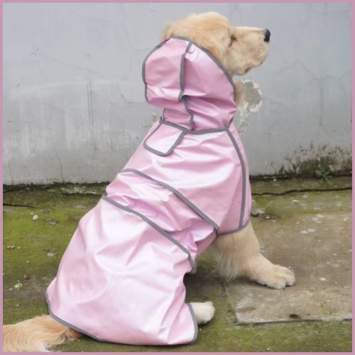impermeable-chien_réfléchissant-attache
