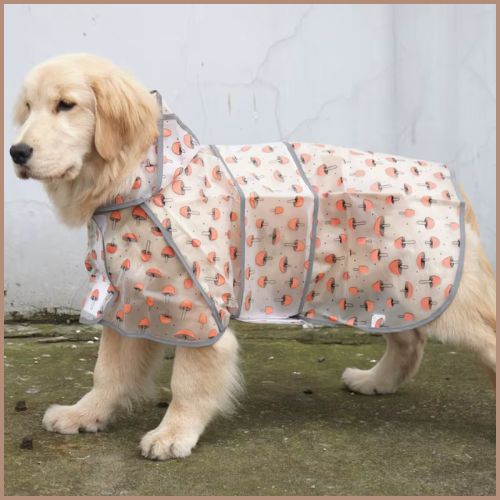 impermeable-chien_réfléchissant-retriver