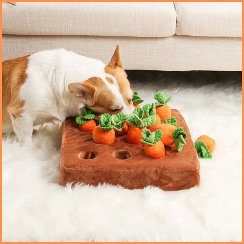 jouet-interactif-pour-chien-canapé