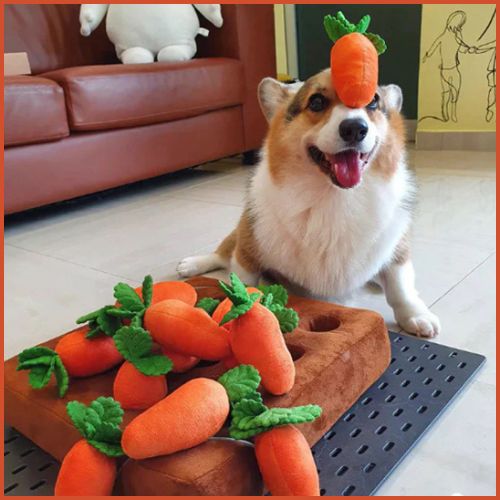 jouet-interactif-pour-chien-tapis-de-fouille-carottes