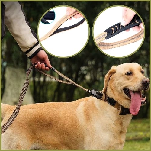 laisse-chien-double_poignee
