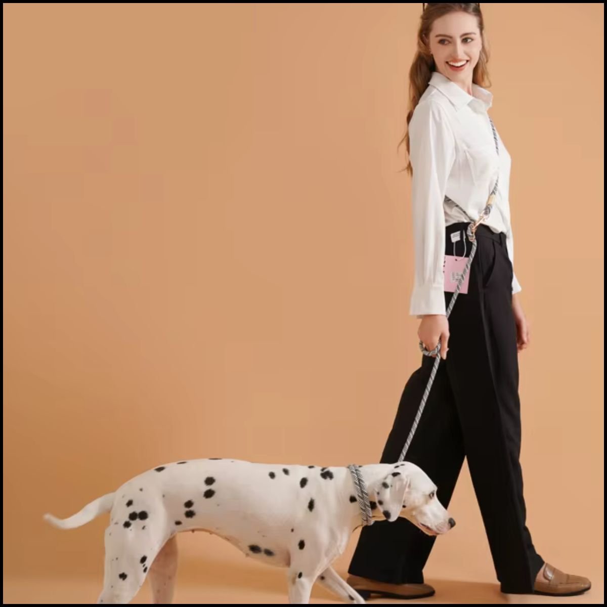 laisse-chien-main-libre-élégante-et-réglable-nylon