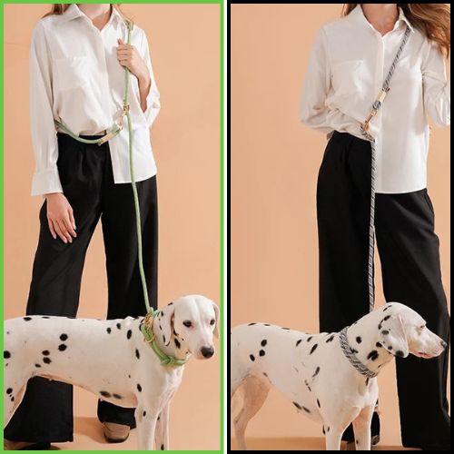 laisse-chien-main-libre_elegant