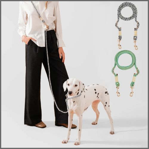 laisse-chien-main_libre_duo