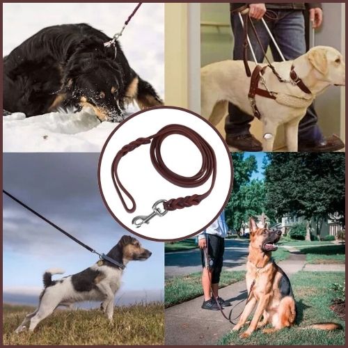 laisse-de-chien-marron