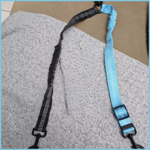laisse-double-pour_chien_bleu