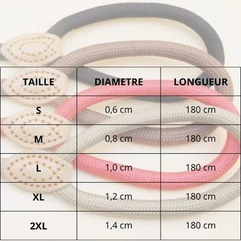 laisse-lasso-taille