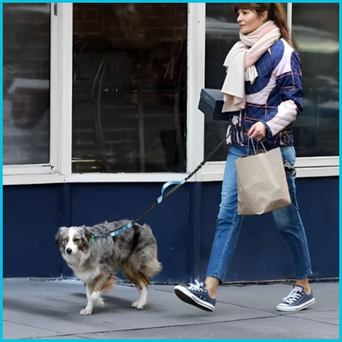 laisse-main-libre-chien_shopping