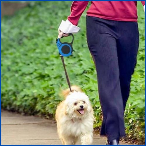 laisse-pour-chien-enrouleur-bichon