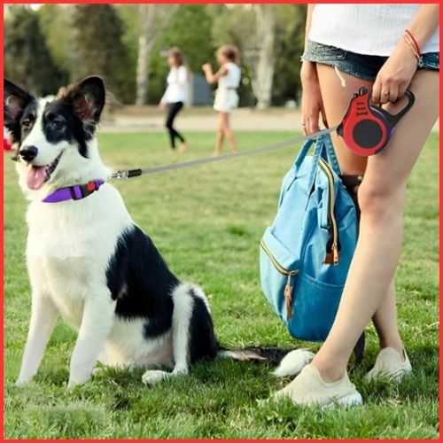 laisse-pour-chien-enrouleur_parc