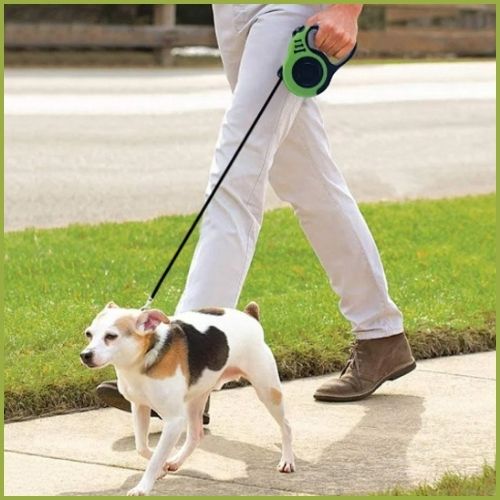 laisse-pour-chien-enrouleur-pratique