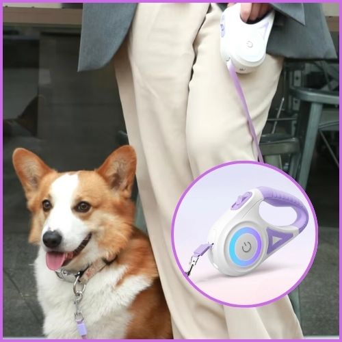 laisse-pour-chien-enrouleur-violet