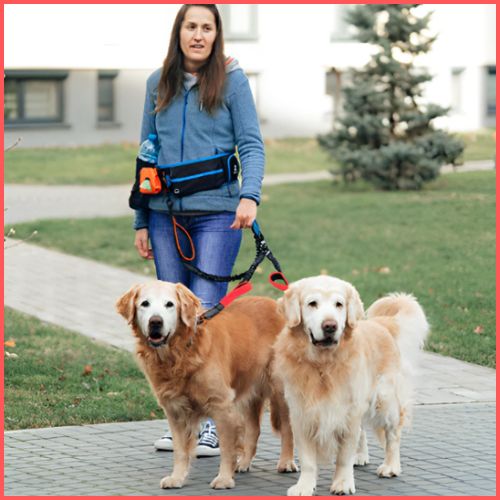 laisse_double-pour-chien-rouge