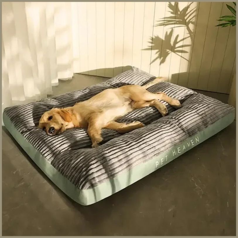 lit-pour-chien-gris-vert