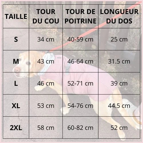 manteau-chien-hiver-tableau