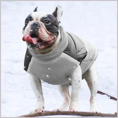 manteau-imperméable-pour-chien_grand-taille-gris