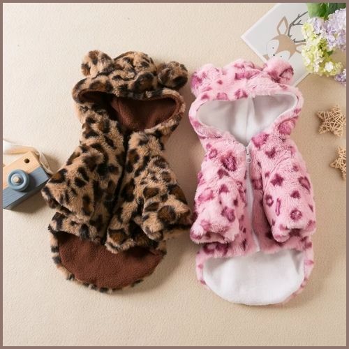manteau-petit-chien_deco