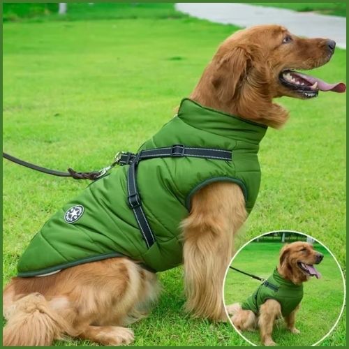 manteau-pour-chien-avec-harnais-intégré-vert