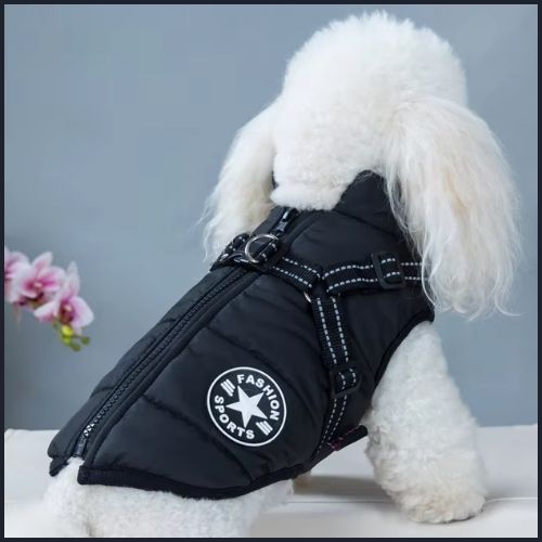 manteau-pour-chien_ avec-harnais-intégré-noir