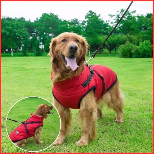 manteau-pour-chien_avec-harnais-intégré-rouge
