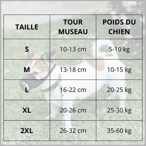 muselière-chien_tailles