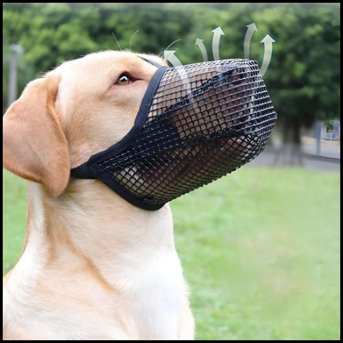 Muselière-pour-chien-panier-en-maille-respirante_labrador