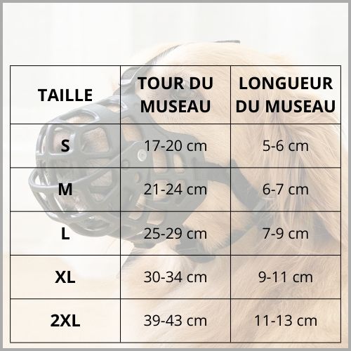 muselière_chien_taille