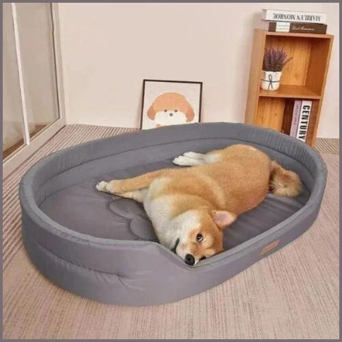 panier-chien-xxl-livres