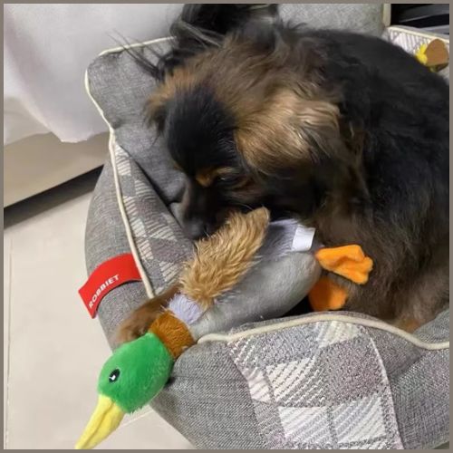 peluche-pour_chien_apaisante-en-forme-de-canard-doudou
