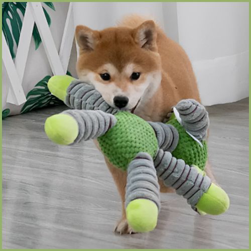 Peluche_pour-chiens_sonore-idéale-pour-la-dentition-vert
