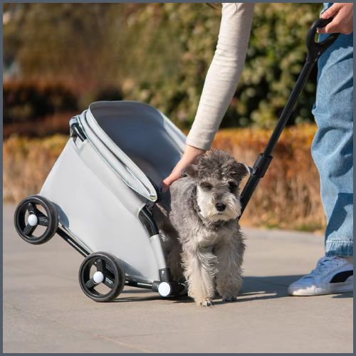 poussette-chien_compact-petite-taille-jusqu-à-10-kg-pratique